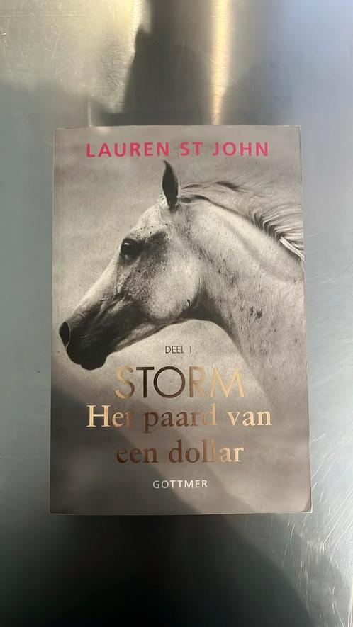 Lauren St John - Het paard van een dollar, Boeken, Kinderboeken | Jeugd | 10 tot 12 jaar, Zo goed als nieuw, Ophalen