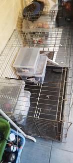 Hondenbench, Enlèvement, Comme neuf