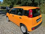 Fiat Panda - 1.2i Easy, Voorwielaandrijving, 4 zetels, Stof, Bedrijf