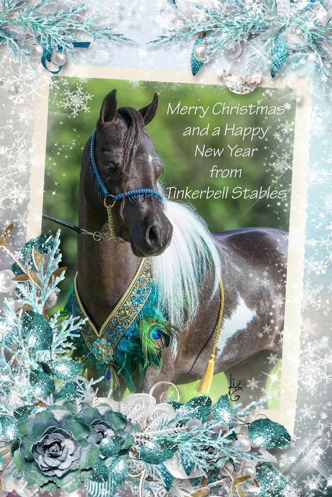 mooie frollarset voor miniatuurpaardjes, Dieren en Toebehoren, Paarden en Pony's | Hoofdstellen en Tuigage, Zo goed als nieuw