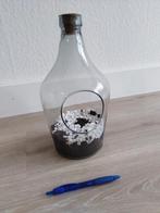 terrarium, Ophalen of Verzenden
