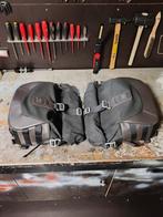 Triumph speed twin 1200 zijtassen SW motech, Motoren