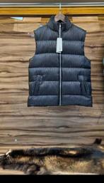 Bodywarmer  Dior en The Northface, Kleding | Heren, Bodywarmers, Ophalen of Verzenden