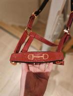 Licol Harrys Horse cob neuf, Animaux & Accessoires, Chevaux & Poneys | Brides & Harnachement, Enlèvement, Neuf, Autres espèces