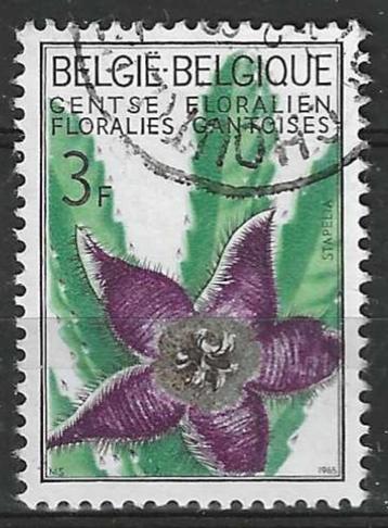 Belgie 1965 - Yvert 1317 - Gentse Floralien III (ST)