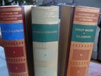 3 oude boeken in het Nederlands, Pantheon van de Literatuur, Pantheon van de Literatur, Ophalen of Verzenden