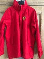 Ferrari vest zo goed als nieuw maat small, Ophalen, Ferrari, Zo goed als nieuw, Rood