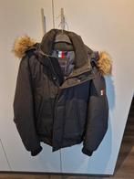 Winterjas - maat Small - Tommy Hilfiger, Zwart, Ophalen of Verzenden, Zo goed als nieuw, Tommy hilfiger