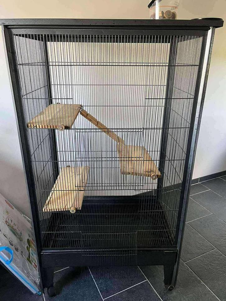 Dierenhok, Dieren en Toebehoren, Vogels | Hokken en Kooien, Gebruikt, Vogelkooi, Metaal, Ophalen