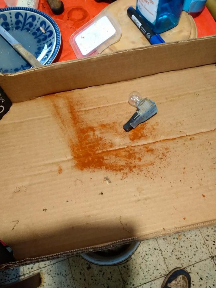 Support de feu antibrouillard Opel Ascona C, Autos : Pièces & Accessoires, Petit matériel, Opel, Enlèvement ou Envoi