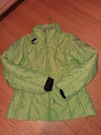 Finse Jas large, Kleding | Dames, Jassen | Winter, ANDERE, Ophalen of Verzenden, Maat 42/44 (L), Groen