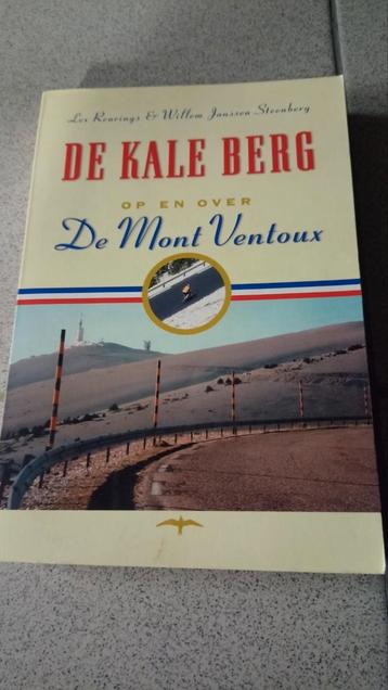 Willem Janssen Steenberg - De kale berg beschikbaar voor biedingen