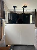 Red sea reefer 425 deluxe, Dieren en Toebehoren, Ophalen, Gebruikt