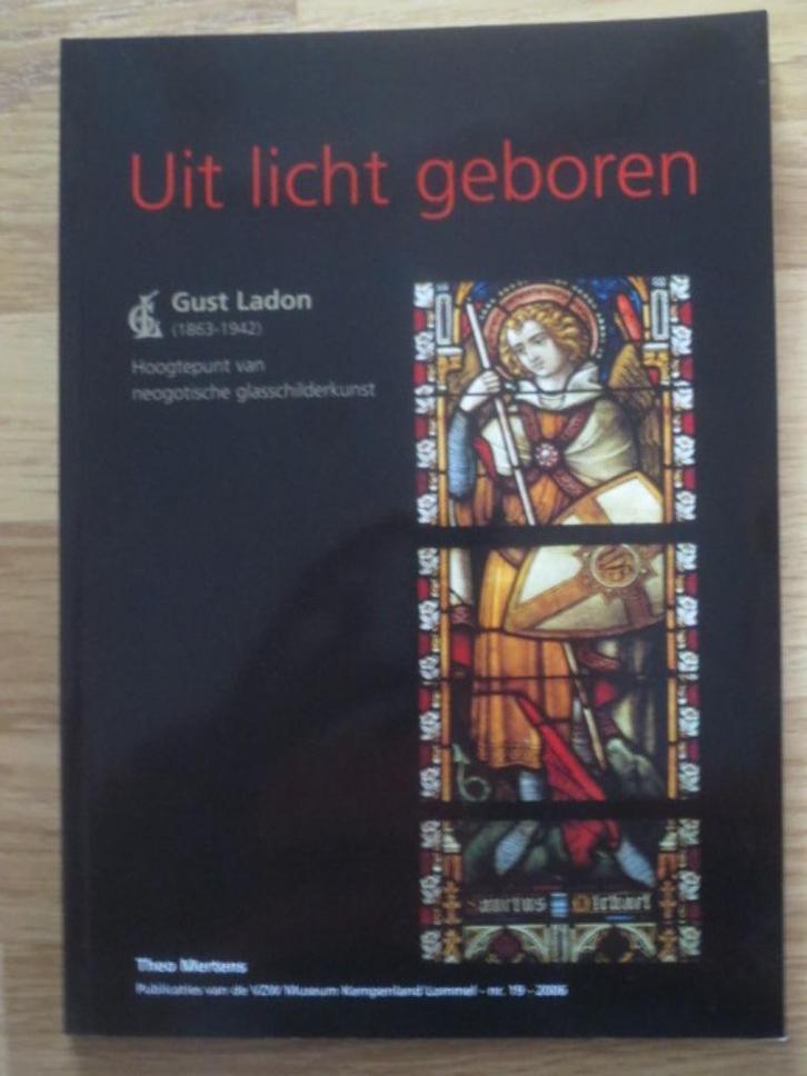 "Uit licht geboren", boek over brandglas, Boeken, Kunst en Cultuur | Architectuur, Nieuw, Stijl of Stroming, Ophalen of Verzenden