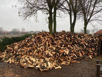 Droog!!   Elzen     haardhout, brandhout, beschikbaar voor biedingen