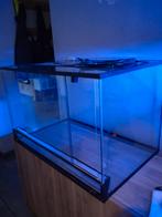 terrarium L80 D50 H50, Animaux & Accessoires, Reptiles & Amphibiens | Accessoires, Enlèvement, Comme neuf, Terrarium ou Paludarium