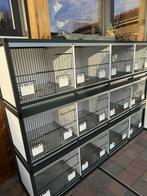 Kweekkooien, Dieren en Toebehoren, Ophalen, Zo goed als nieuw, Aluminium