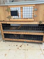 Grand cobaye ou rongeur à 3 étages intérieurs ou extérieurs, Animaux & Accessoires, 90 cm ou plus, 75 à 110 cm, Cage, Enlèvement