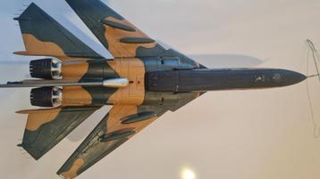 avion de chasse F-111 Aardvark sculpté en une pièce de bois beschikbaar voor biedingen