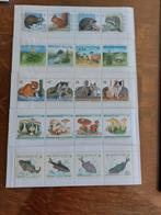 carnets de timbres, Timbres & Monnaies, Timbres | Europe | Belgique, Neuf, Album pour timbres, Autre, Enlèvement ou Envoi