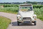 Citroen DYANE 6, Auto's, Oldtimers, 4 deurs, 602 cc, Citroën, 31 pk