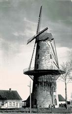 Zarren - Zarrenlindemolen, Envoi, 1980 à nos jours, Non affranchie, Flandre Occidentale