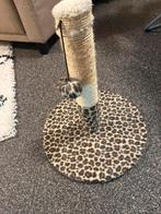 Kleine krappaal te koop, Dieren en Toebehoren, Ophalen, Zo goed als nieuw