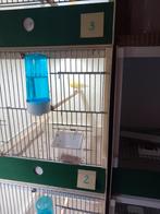 Kanaries, Dieren en Toebehoren