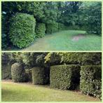 Tuinonderhoud 04 65 48 75 69, Ophalen of Verzenden