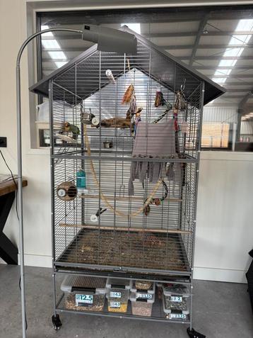 Spullen voor vogels houden beschikbaar voor biedingen