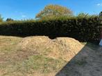 Gratis opvulgrond, Tuin en Terras, Aarde en Mest, Ophalen, Tuinaarde