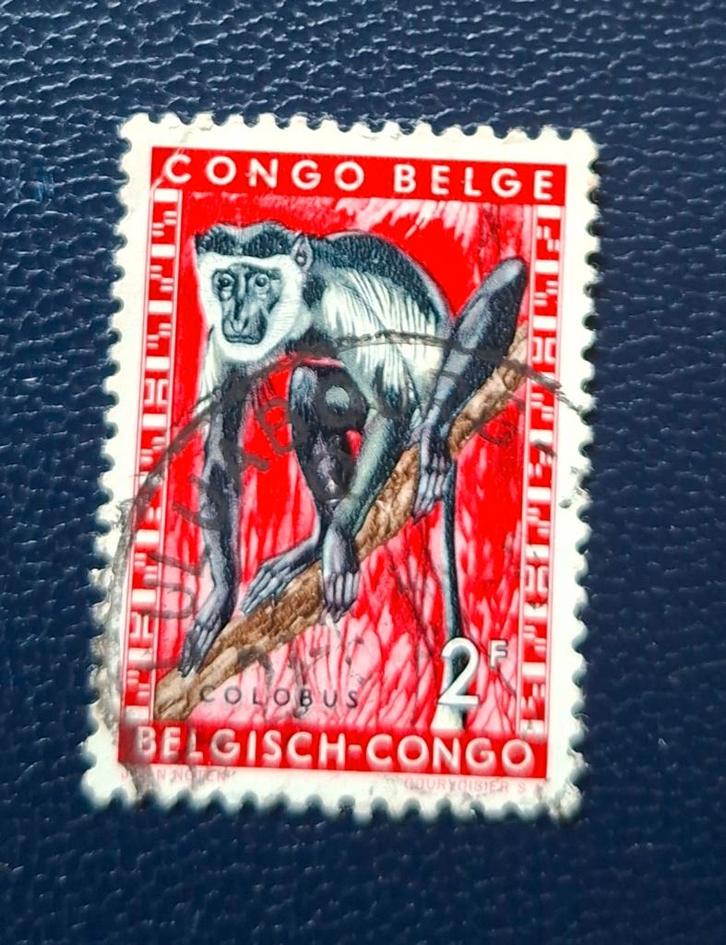 Timbre OBP 356 du Congo belge, Timbres & Monnaies, Timbres | Europe | Belgique, Affranchi, Enlèvement ou Envoi