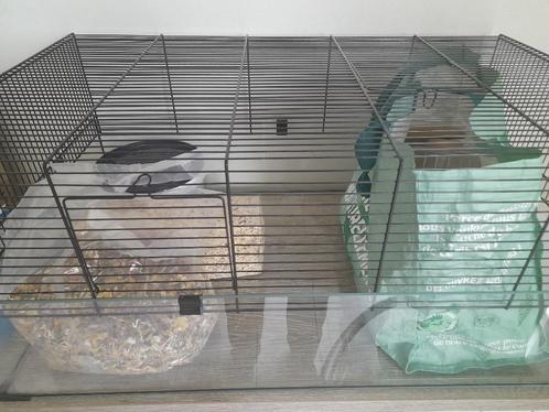 hamsterkooi met toebehoren, Animaux & Accessoires, Rongeurs & Lapins | Cages & Clapiers, Comme neuf, Cage, Moins de 60 cm, 75 à 110 cm