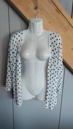 gilet 3XL, Kleding | Dames, Truien en Vesten, Ophalen of Verzenden, Zo goed als nieuw, Wit
