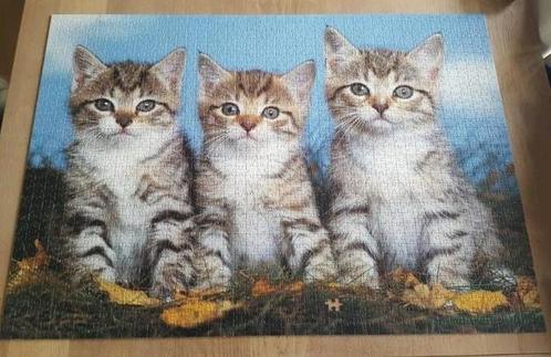 Puzzel met drie schattige kittens Ravensburger 1500 stukjes, Hobby & Loisirs créatifs, Sport cérébral & Puzzles, Comme neuf, Puzzle