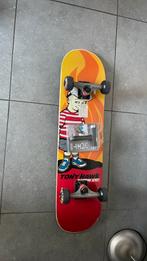 Skateboard met gereedschap, Sport en Fitness, Ophalen, Gebruikt, Skateboard