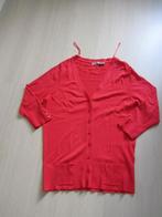 Libelle oranje/rood vest maat XL, Vêtements | Femmes, Pulls & Gilets, Porté, D'Auvry, Taille 46/48 (XL) ou plus grande, Rouge