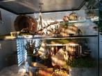 Veelzijdig Terrarium voor Knaagdieren – Gerbil, Hamster, Rat, Dieren en Toebehoren, Knaagdieren en Konijnen | Hokken en Kooien