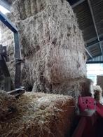 Hooi, Dieren en Toebehoren, Dierenvoeding, Ophalen