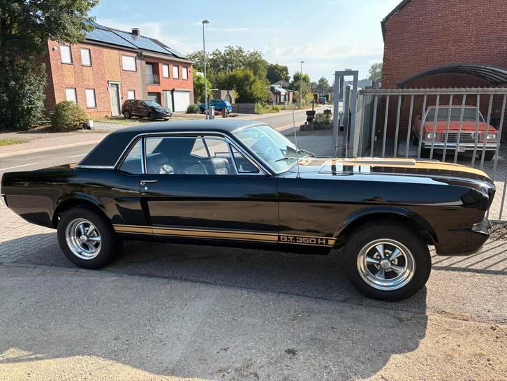 Ford Mustang 289 V8 1965, Autos, Oldtimers & Ancêtres, Particulier, Ford, Essence, Coupé, 3 portes, Automatique, Noir, Noir, Cuir