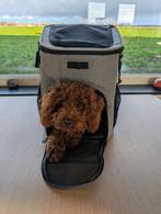 Fietsmand én rugzak voor kleine hond max. 15 kg, Dieren en Toebehoren, Ophalen, Zo goed als nieuw