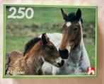 Puzzel 250 stukjes, Ophalen, Minder dan 500 stukjes, Gebruikt