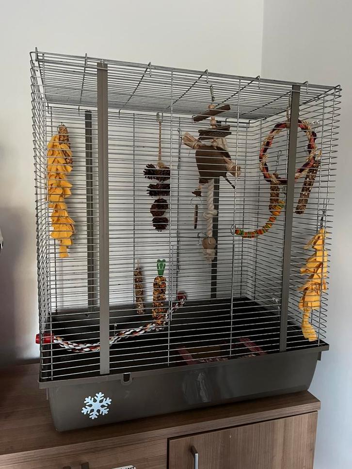 Knaagdieren kooi / vogel kooi, Dieren en Toebehoren, Vogels | Hokken en Kooien, Zo goed als nieuw, Ophalen