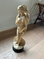 Statue ancienne de femme nue avec coquille, Enlèvement