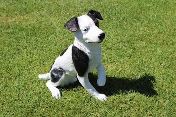Een JACK RUSSELL-hond van natuurlijke grootte beschikbaar voor biedingen