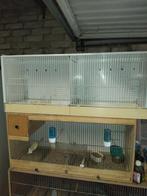 Cage d élevage en métal, Animaux & Accessoires, Enlèvement, Comme neuf, Métal, Cage d'élevage