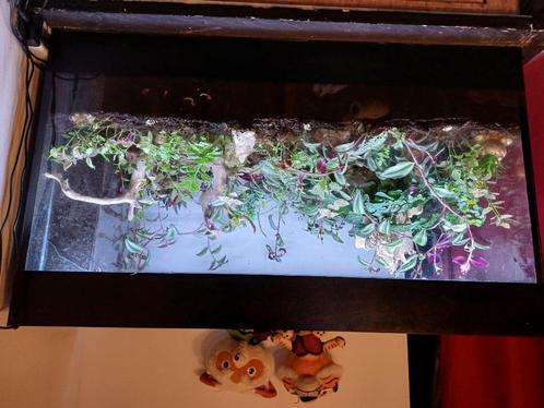 Aquarium 100 * 40 * 60 et accessoires, Dieren en Toebehoren, Vissen | Aquaria en Toebehoren, Gebruikt, Leeg aquarium, Ophalen of Verzenden