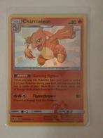 Pokemonkaart, Livres, Atlas & Cartes géographiques, Enlèvement, Comme neuf