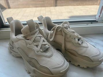 Steve Madden dames schoenen – maat 38  beschikbaar voor biedingen