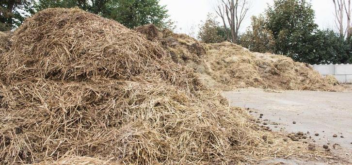 Gratis paardenmest, Tuin en Terras, Aarde en Mest, Mest, Ophalen